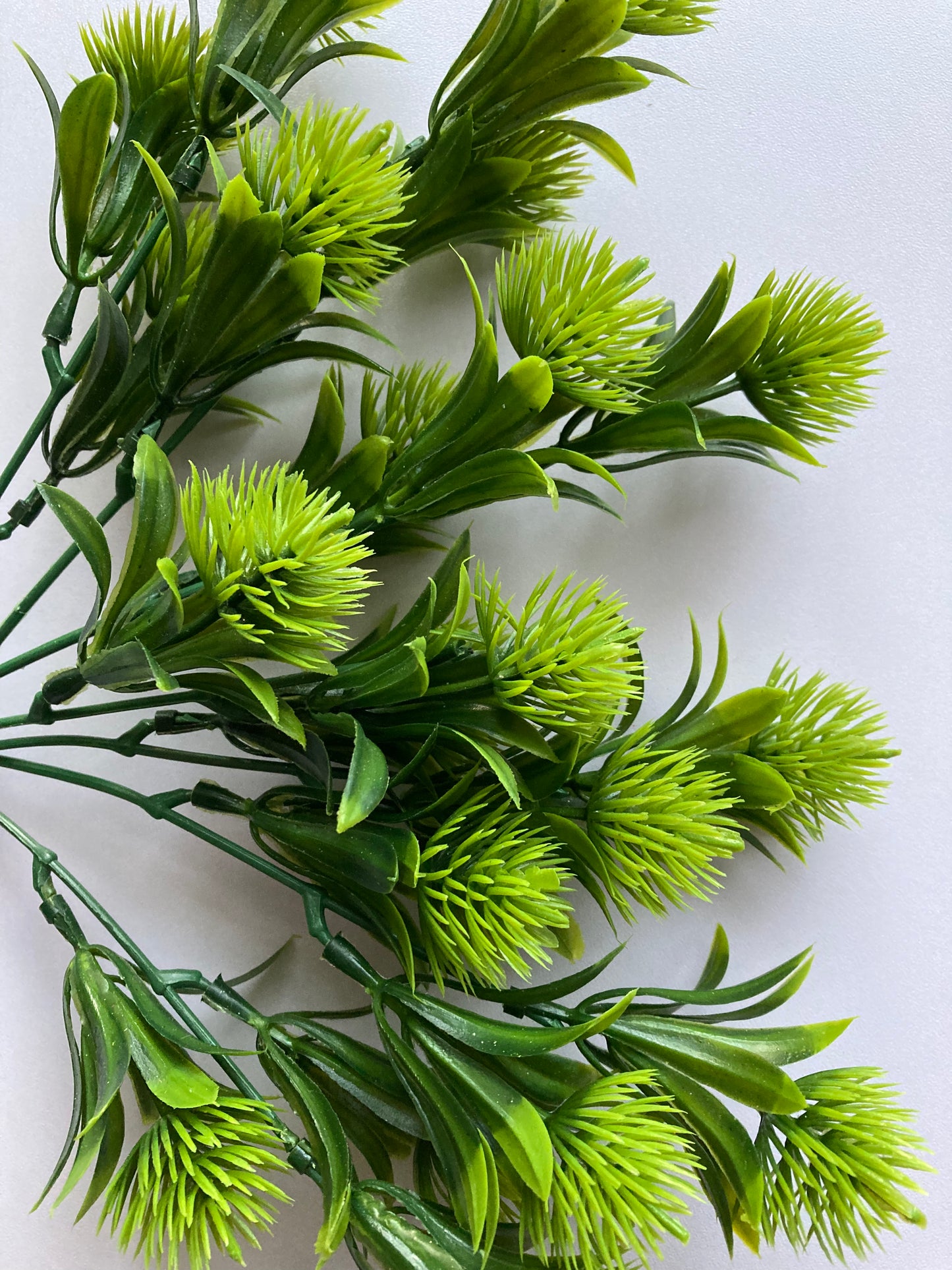 Green Thistle Bunch