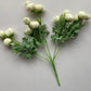 Mini Ivory Ranunculus Bunch