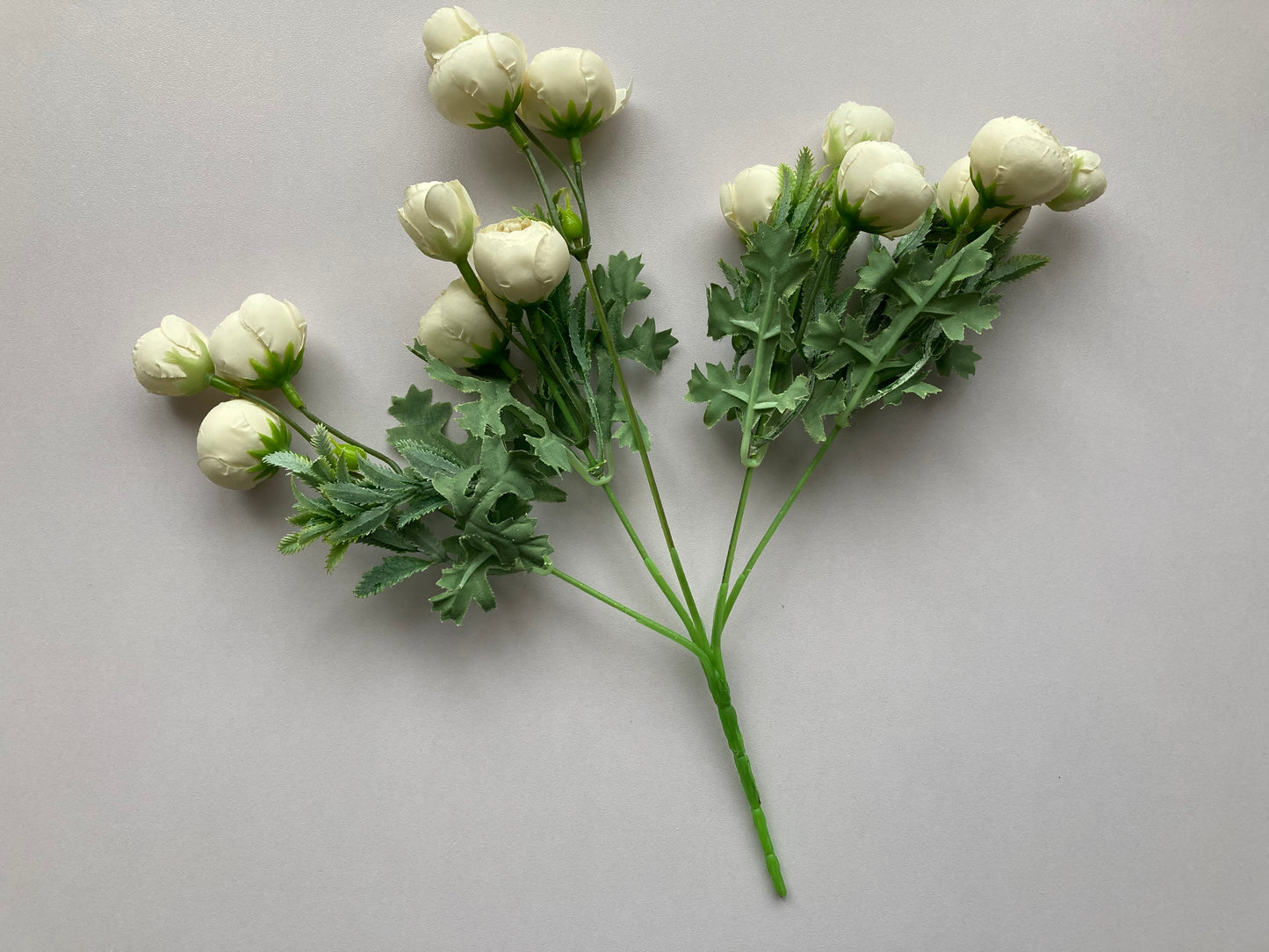 Mini Ivory Ranunculus Bunch