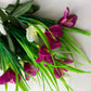 Mauve & White Agapanthus Bunch