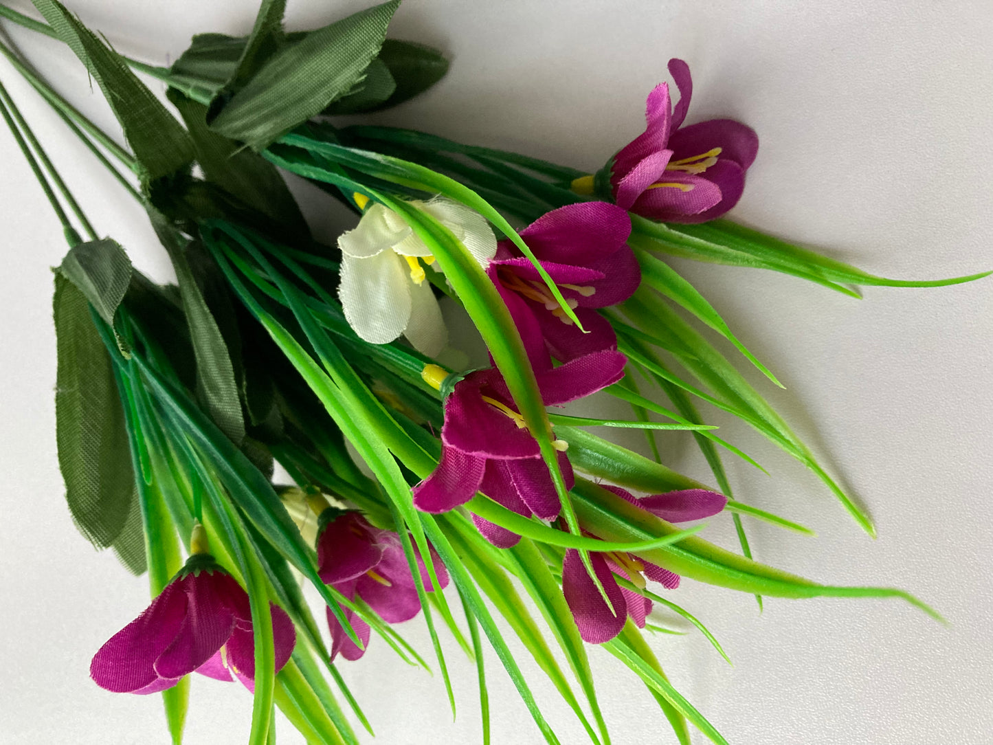 Mauve & White Agapanthus Bunch