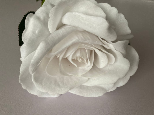 Velvet White Rose