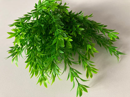 Small Leaf Greenery Foliage Bush