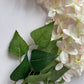 Pink Wisteria Trailing Flower