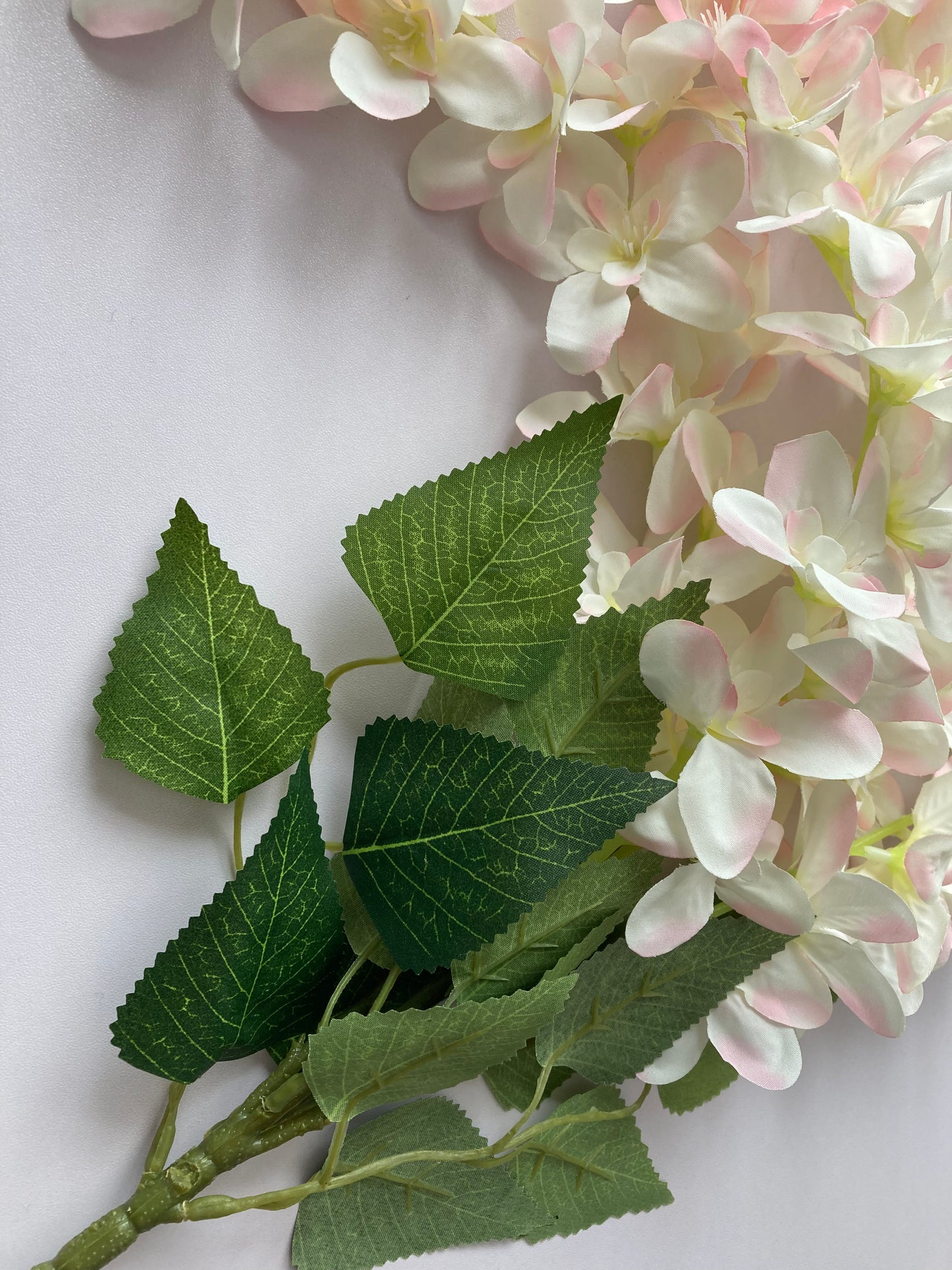 Pink Wisteria Trailing Flower