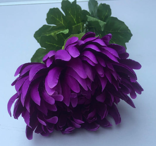 Purple Chrysanthemum Stem