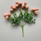 Mini Pink Ranunculus Bunch