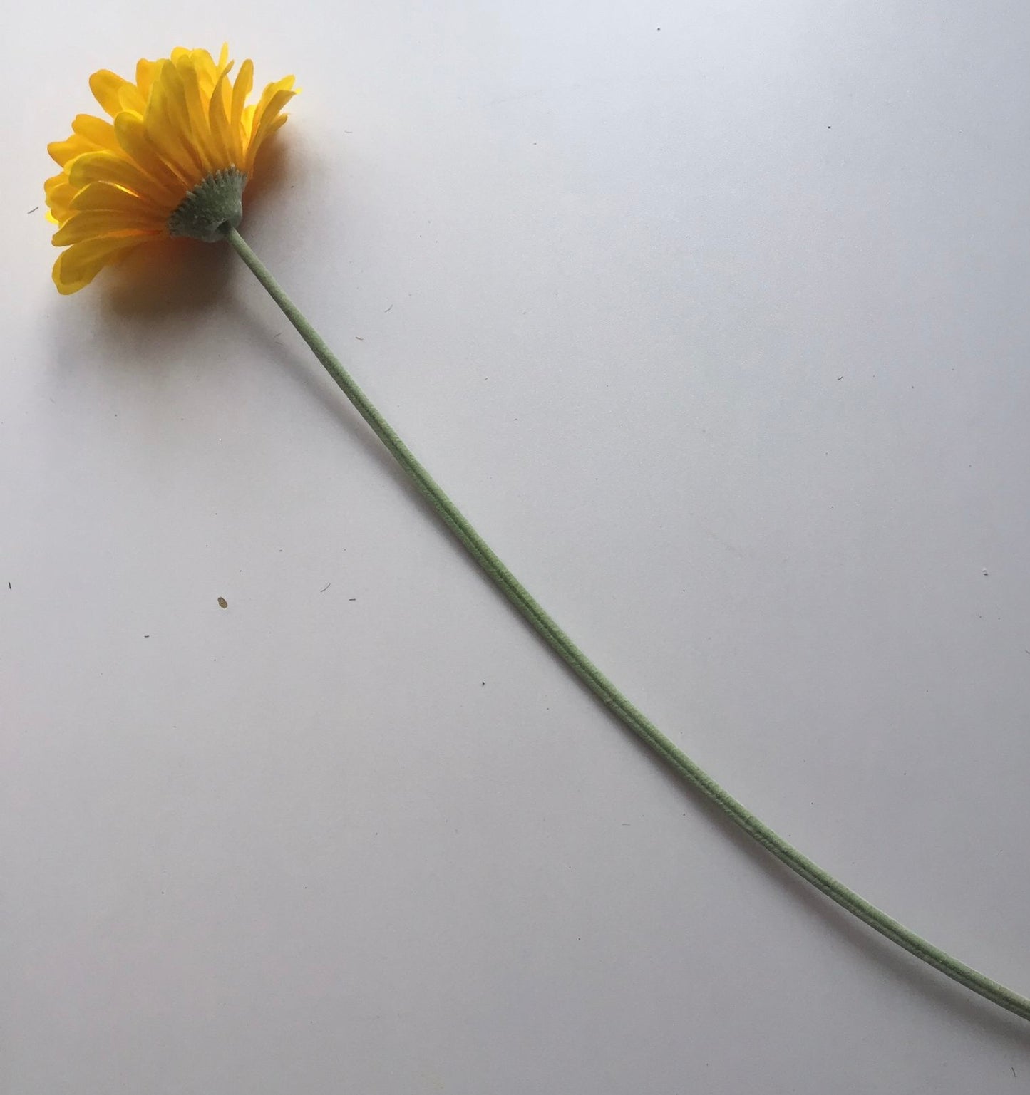 Yellow Gerbera Single Stem