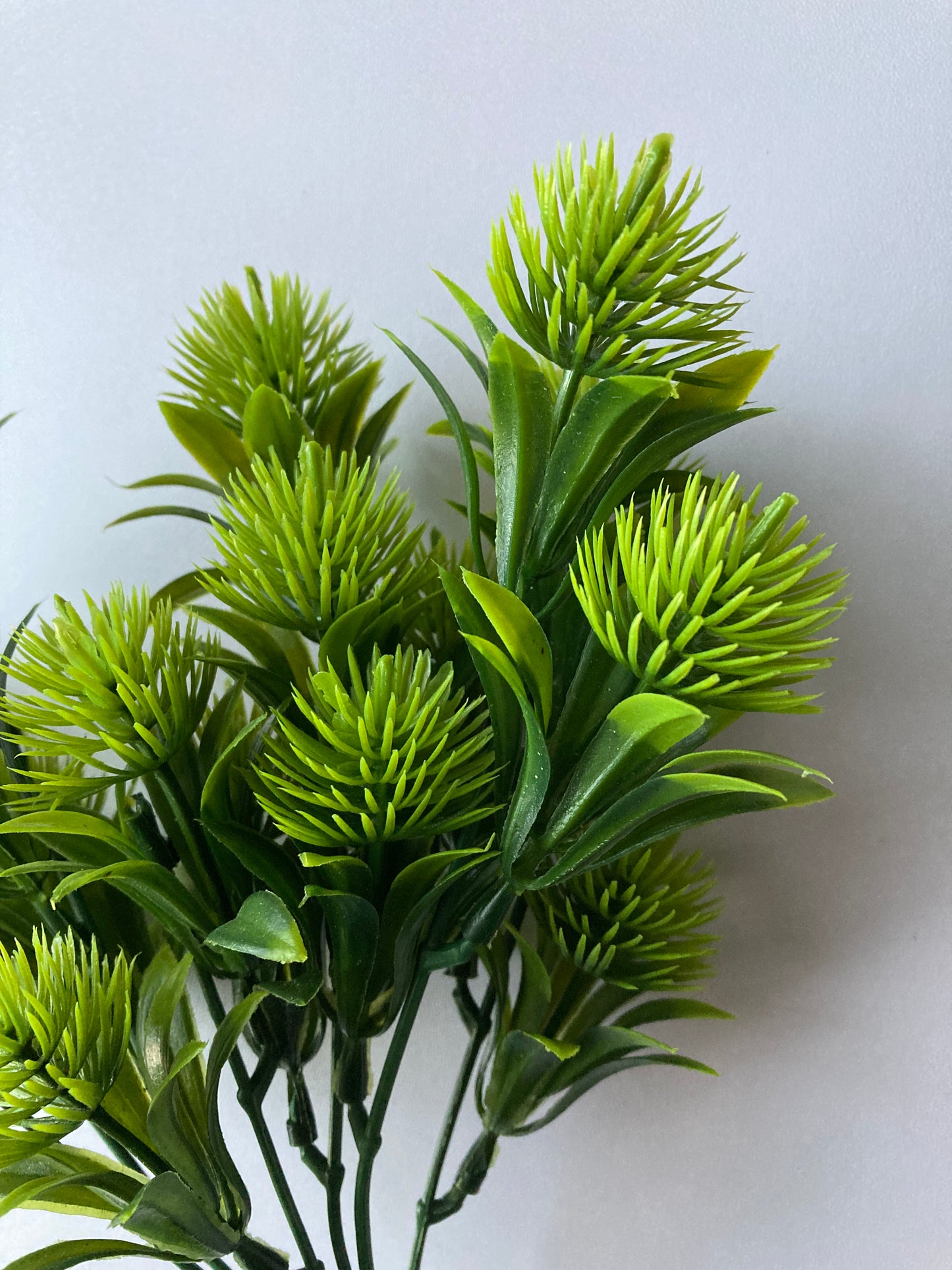 Green Thistle Bunch