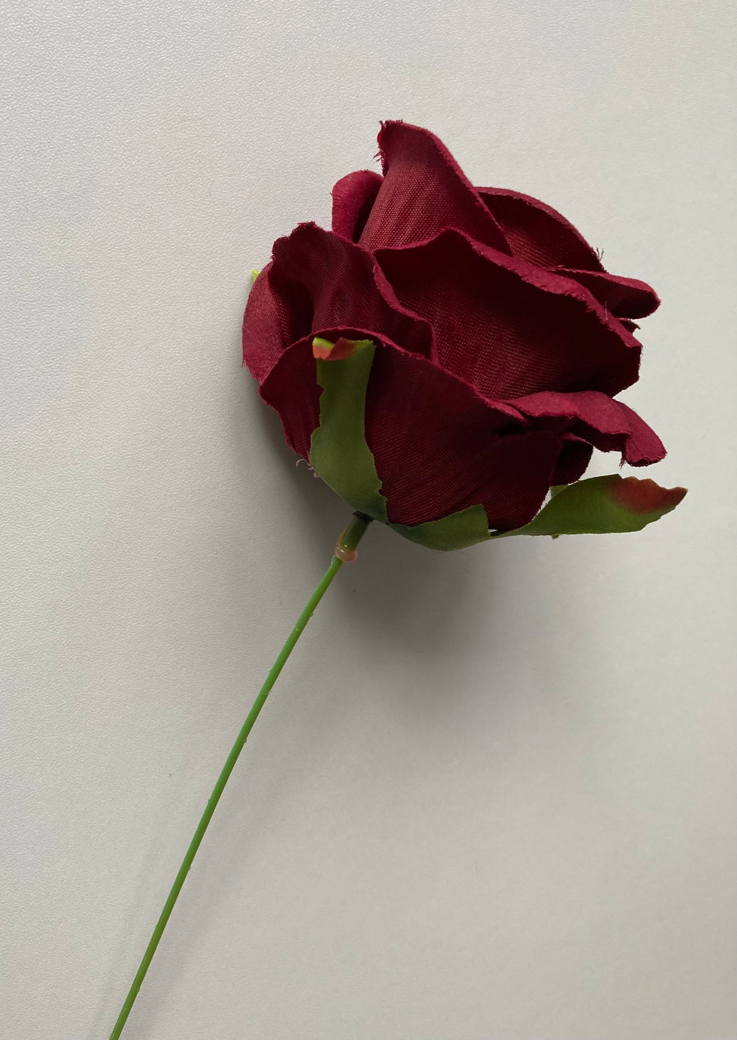 Burgundy Rose Stem