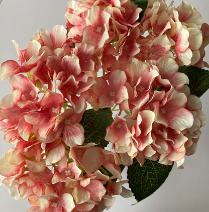 Large Hydrangea Pink Bunch