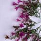 Mauve Small Flower Foliage