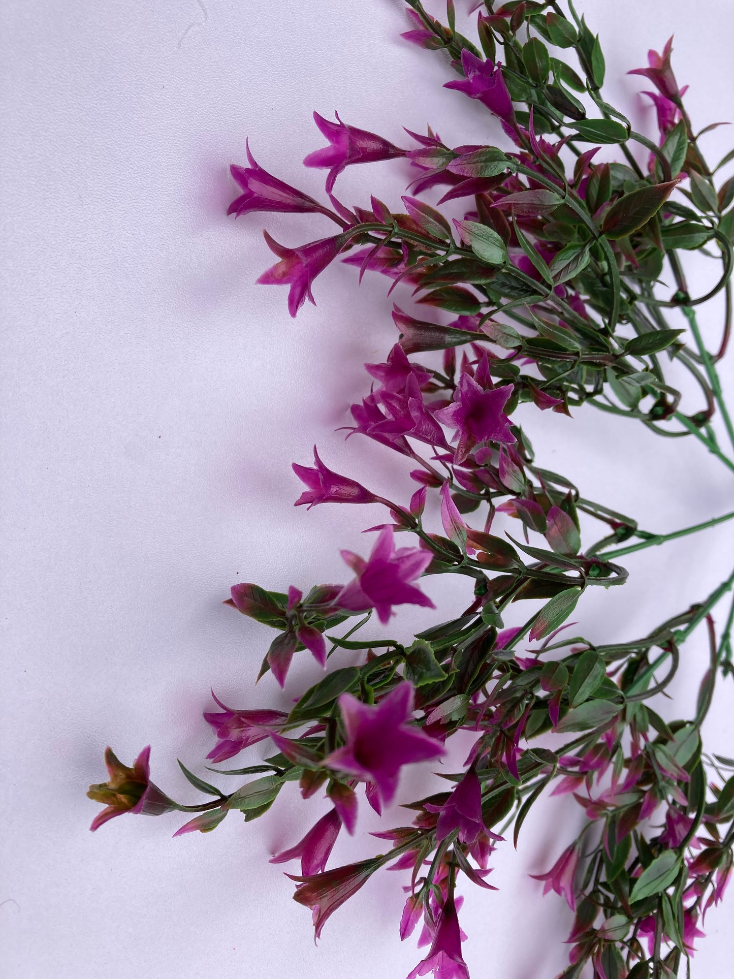 Mauve Small Flower Foliage