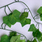 6 Metre Ivy Garland