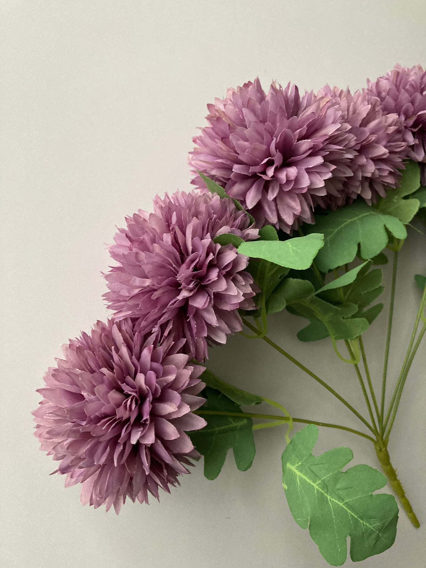 Purple Chrysanthemums Bunch