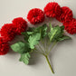 Red Chrysanthemum Bunch