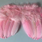 Pink Feather Angel Wings