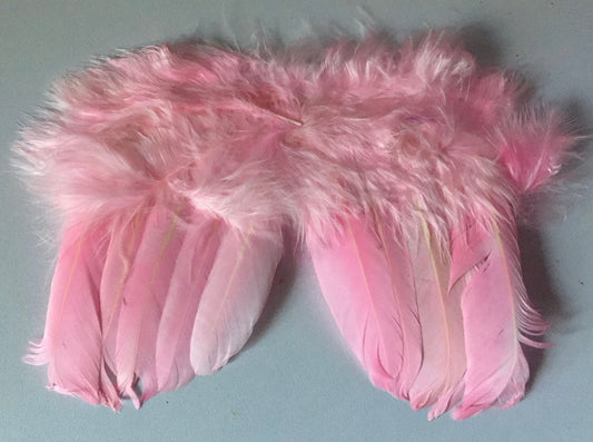 Pink Feather Angel Wings