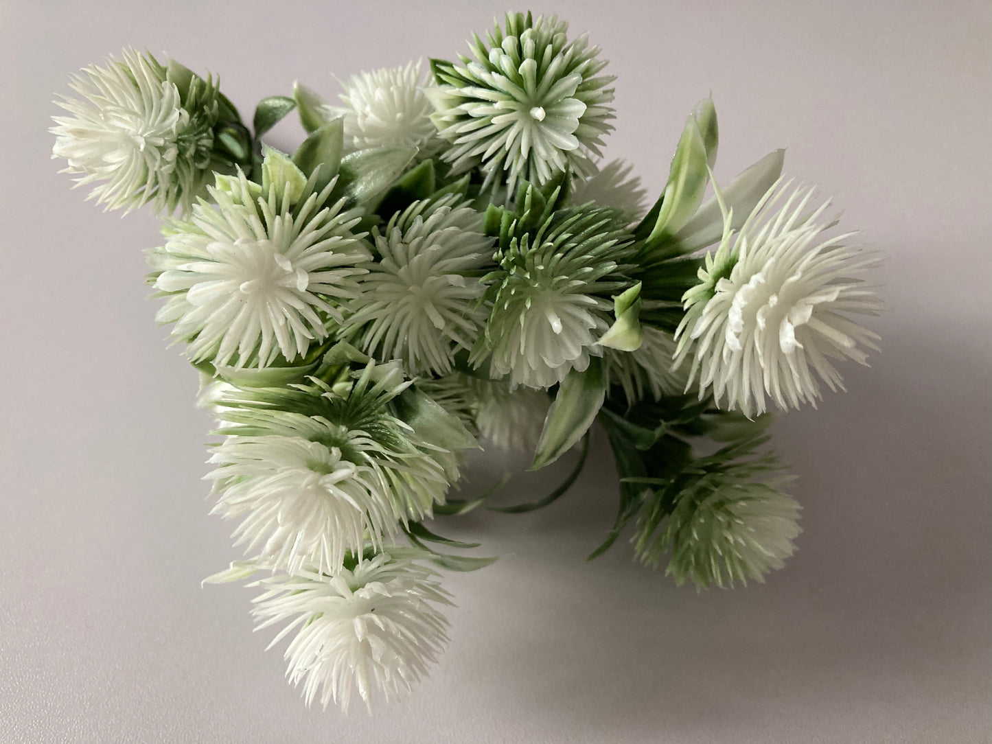 White Thistle Bunch