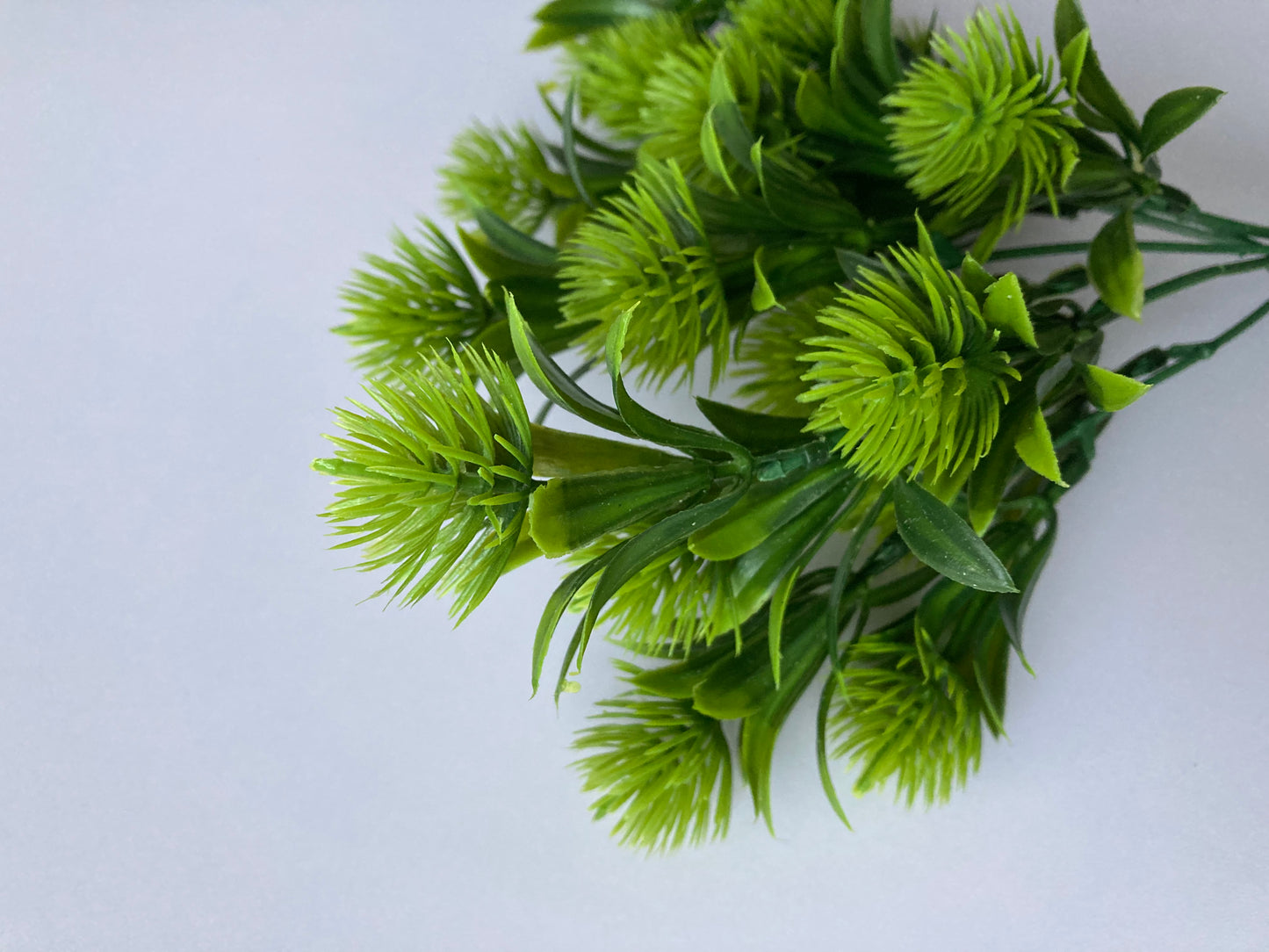 Green Thistle Bunch