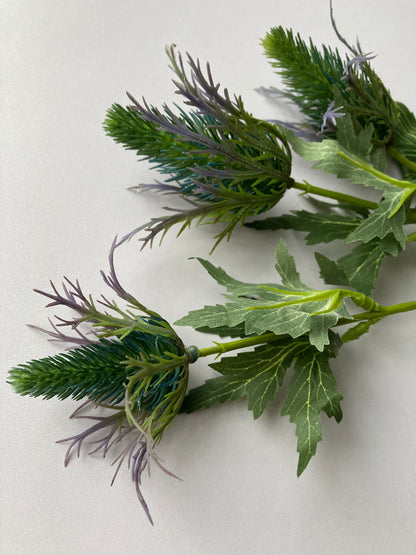 Sea Holly Thistle