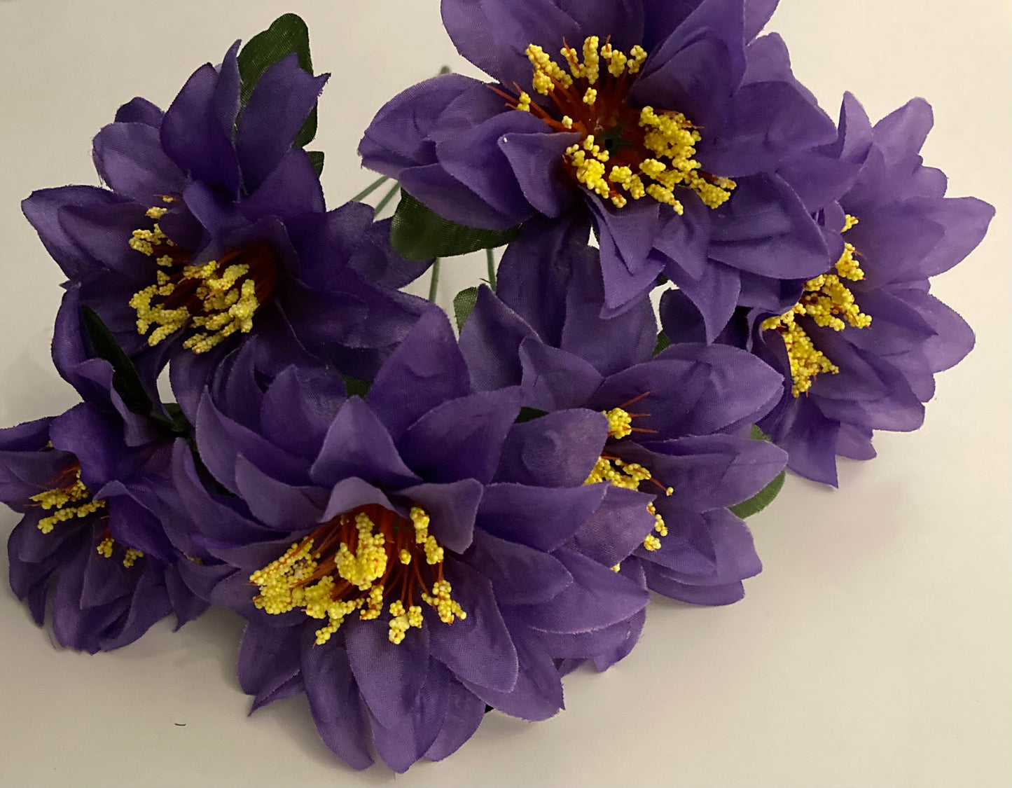 Purple Zinnia Bunch