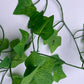 6 Metre Ivy Garland