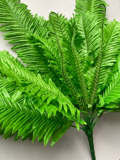 Giant Fern Bush