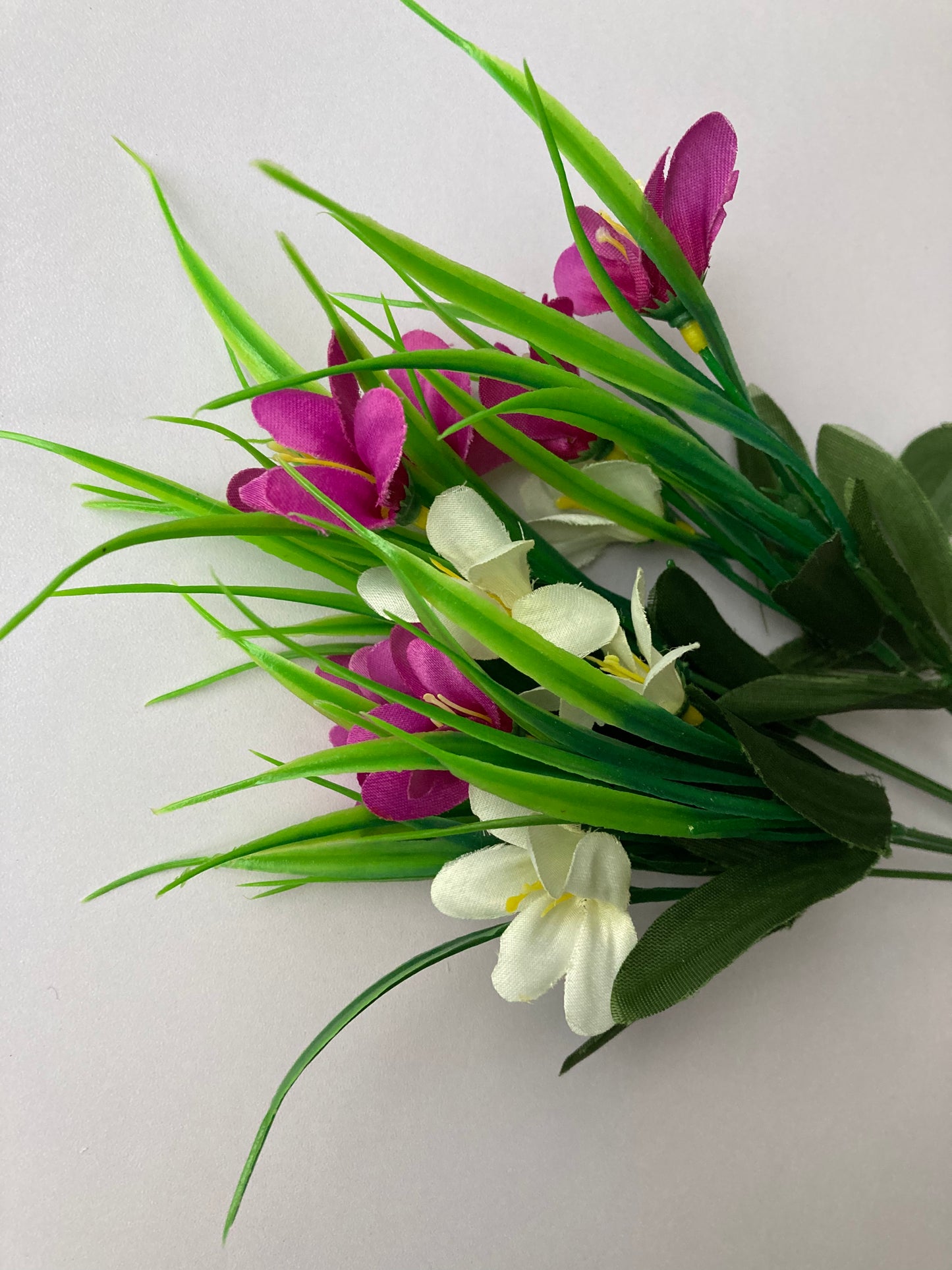 Mauve & White Agapanthus Bunch