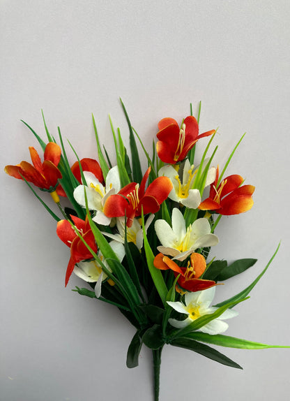 Orange & White Agapanthus Bush