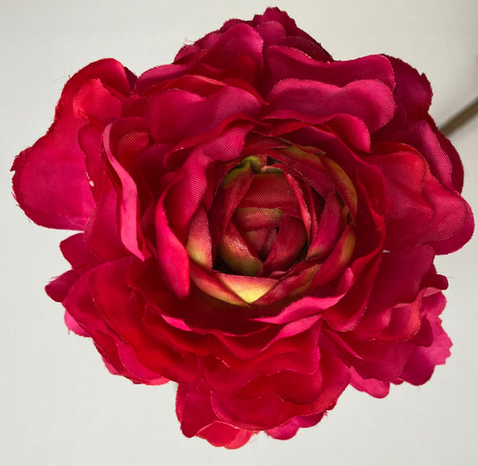 Open Deluxe Ranunculus Stem