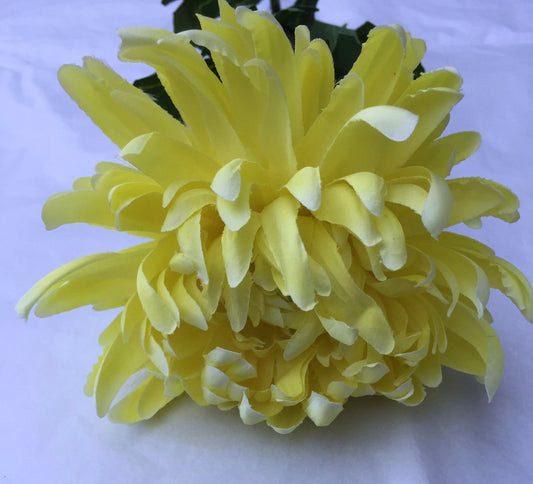 Yellow Chrysanthemum Stem
