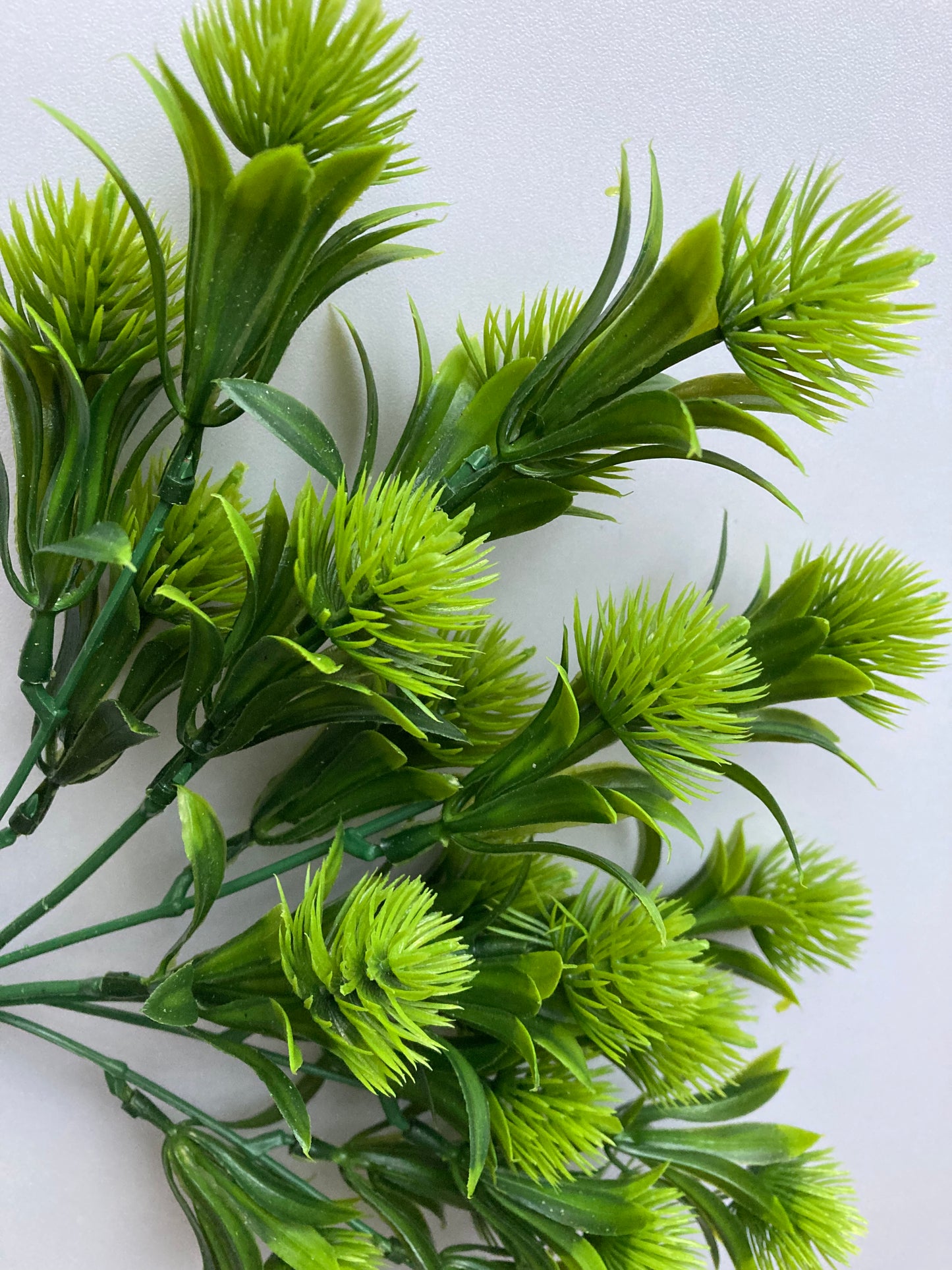 Green Thistle Bunch