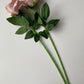 Dusky Pink Velvet Rose