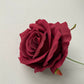 Burgundy Rose Stem