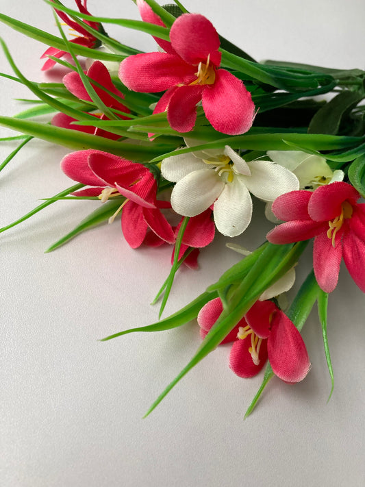 Pink & White Agapanthus Bunch