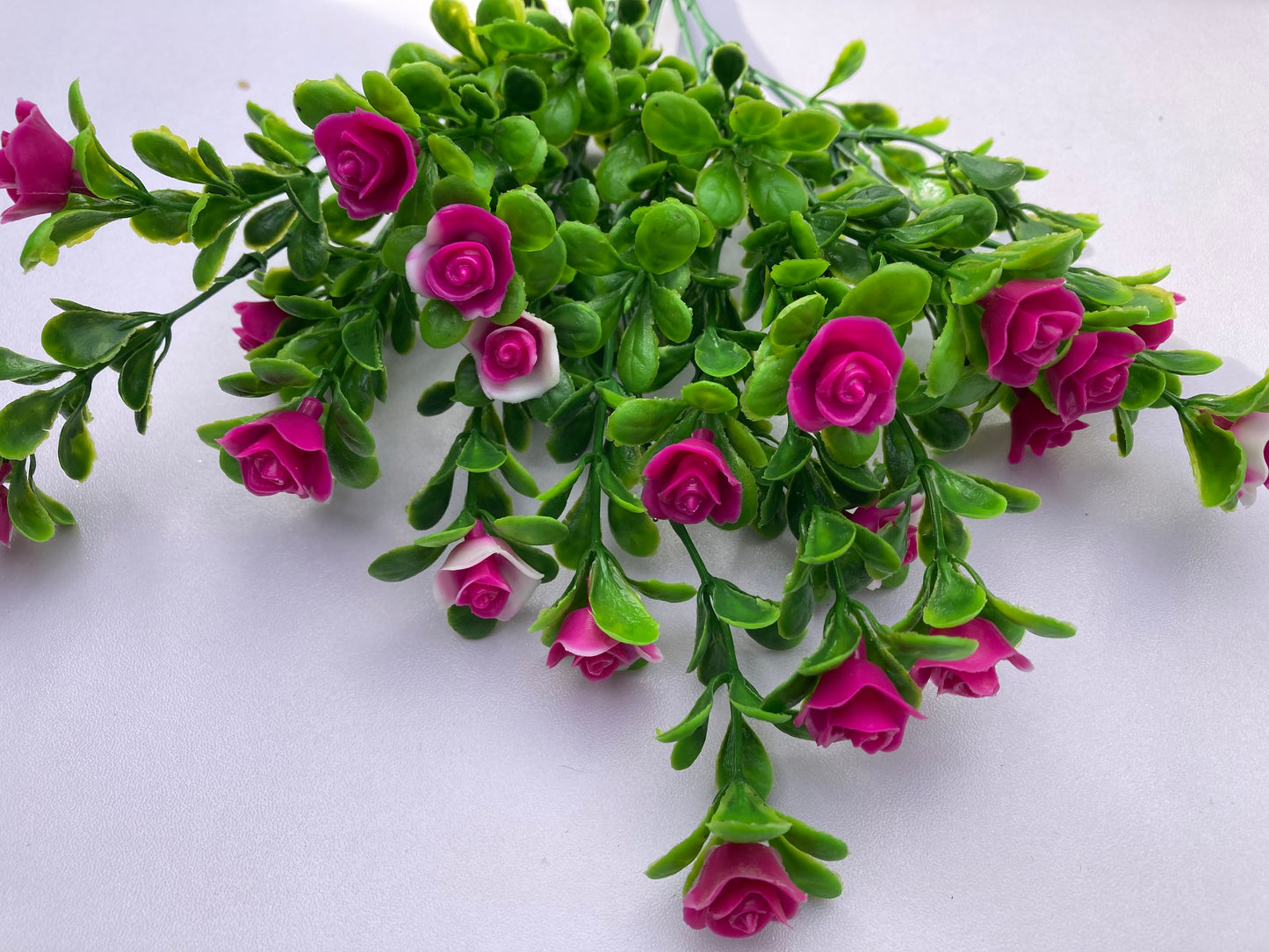 Mauve Small Rose Bush