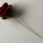 Burgundy Rose Stem