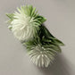White Thistle Bunch