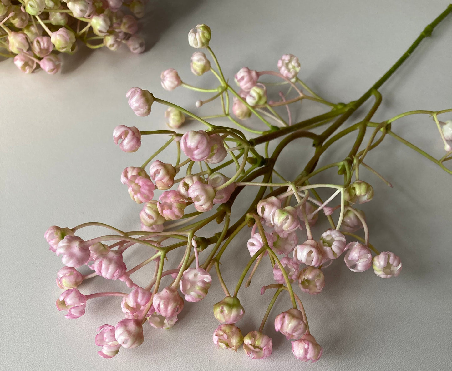 Light Pink Baby's Breath Bunch