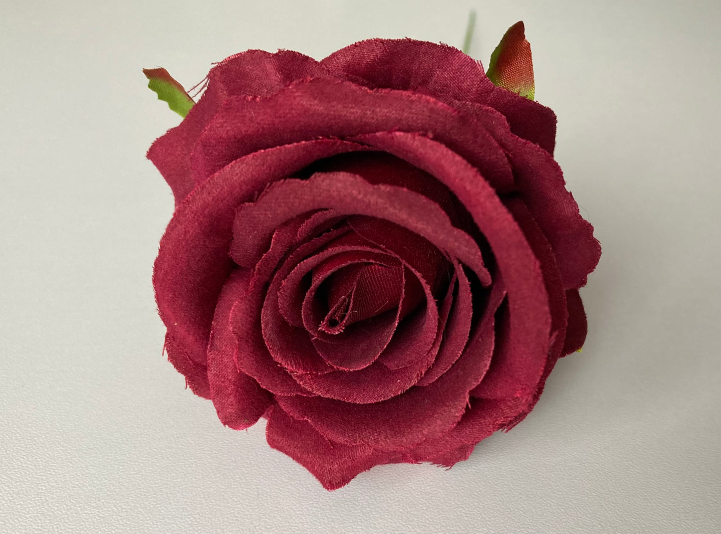 Burgundy Rose Stem