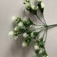 White Thistle Bunch