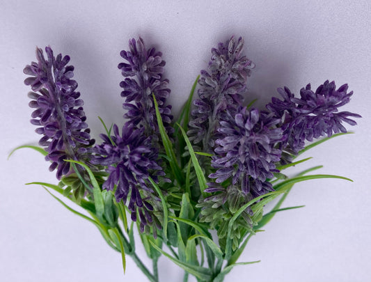 6 Lavender Stems