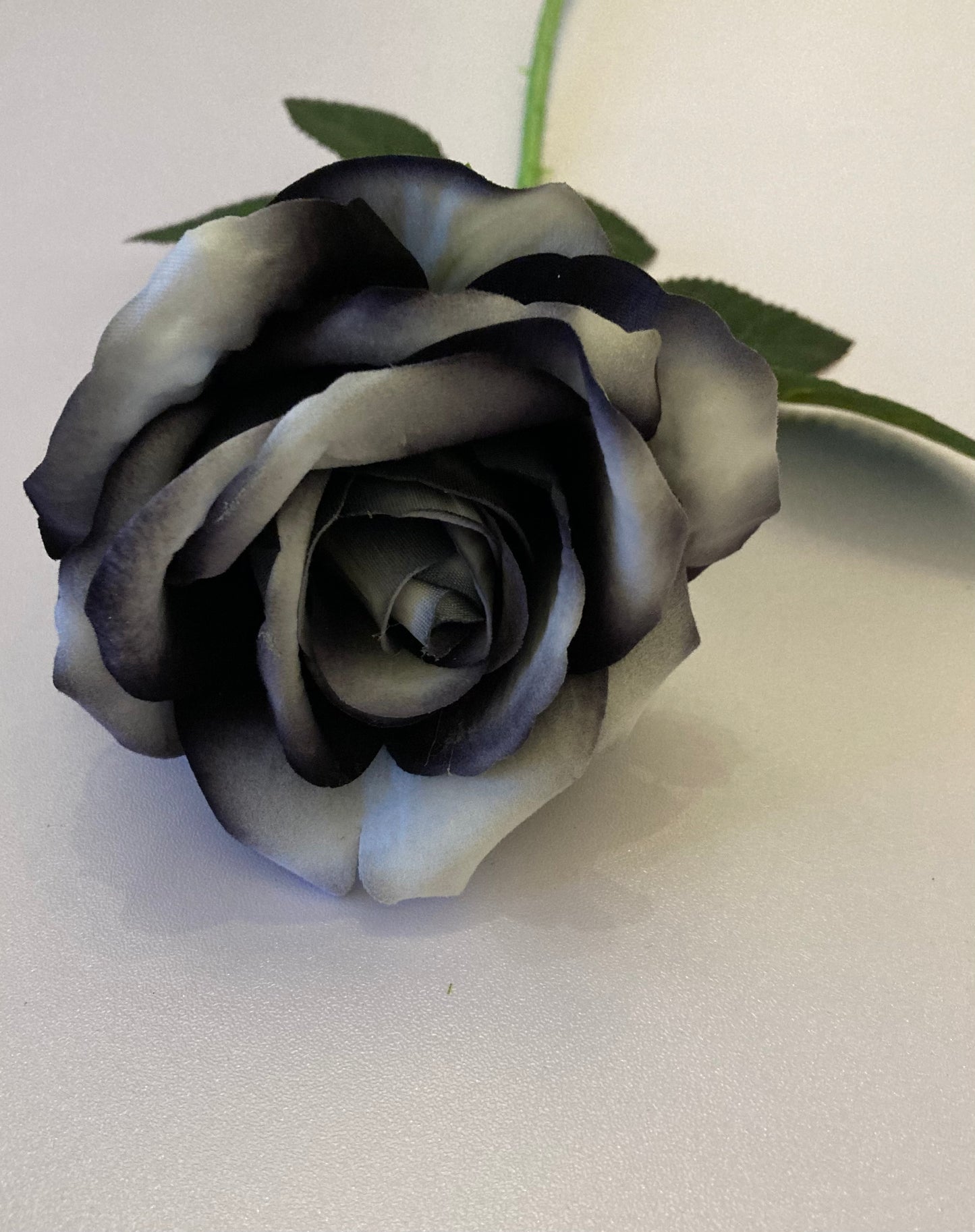 Black & Grey Velvet Rose