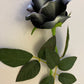 Black & Grey Velvet Rose