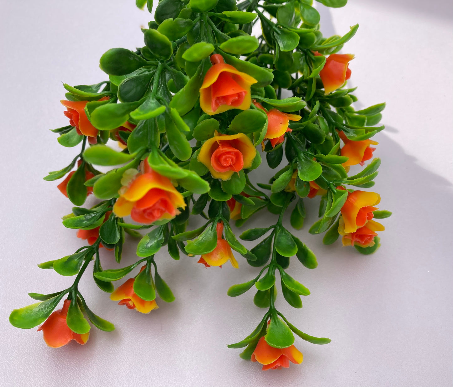 Orange Small Rose Bush