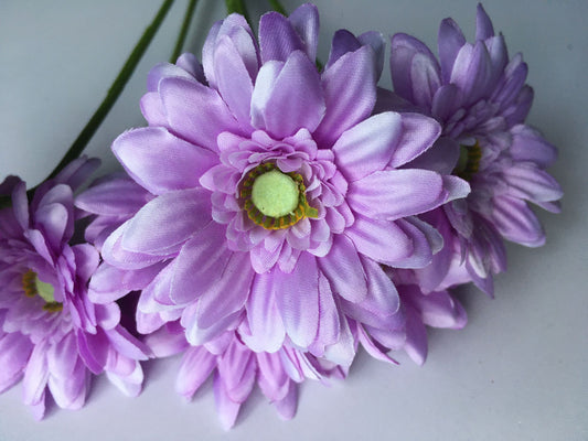 Small Lilac Gerbera Bunch