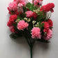 Mixed Pink Chrysanthemum Bush