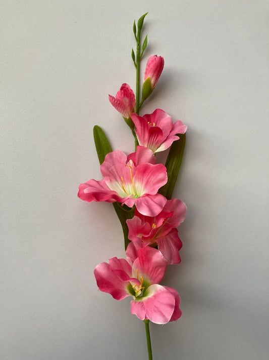 Pink Gladiolus Spray