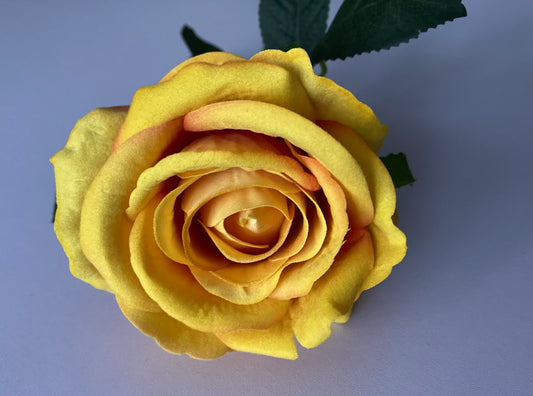 Velvet Mustard Yellow Rose